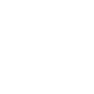 BNI.png