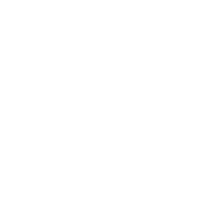 Toefl.png