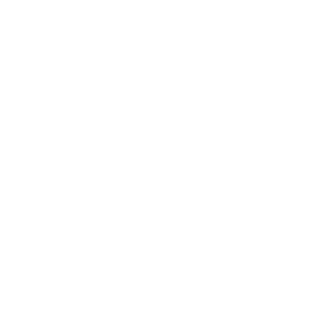 Vidanta.png